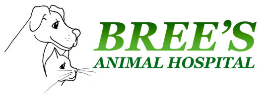 Bree's Animal Hospital